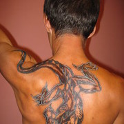 ���������� ������ �����, ���� ������� ����, 48 ���, ������������ ��� ������, ����� � ���������, c�������� ���������