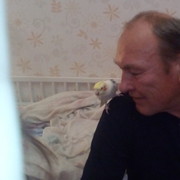  ,   , 62 ,   ,   , c 