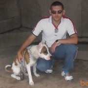 ���������� ����, ���� ������� �������, 43 ����, ������������ ��� ������