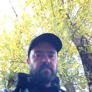  --,   , 43 ,  
