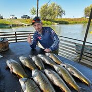 ���������� ������, ���� ������� ������, 43 ����, ������������ ��� ����� � ���������, c�������� ���������