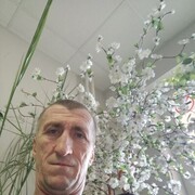  -,  , 44