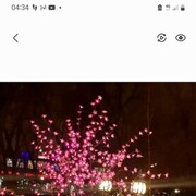  ,   , 55 ,     , c , 