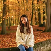 ���������� �����������, ���