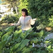 ���������� ������������, ���� ������� �����, 62 ����, ������������ ��� ������, ����� � ���������, c�������� ���������