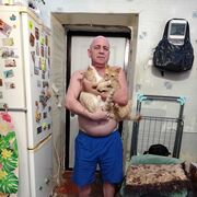   ,   , 52 ,   ,   