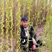  ,   , 39 ,   c 