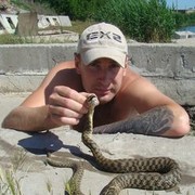 ���������� ��������, ���� ������� �������, 39 ���, ������������ ��� ������, ����� � ���������, c�������� ���������