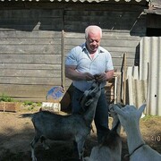  ,   , 76 ,     