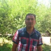 ���������� ������, ���� ������� Jiyan, 50 ���, ������������ ��� ����� � ���������, c�������� ���������