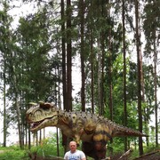 ���������� ����, ���� ������� ������, 38 ���, ������������ ��� ������, ����� � ���������, c�������� ���������