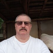 ���������� ����������, ������� ������, 62