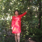  ,   , 56 ,  