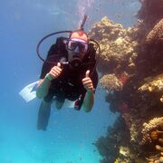 ���������� ������, ���� ������� ������, 37 ���, ������������ ��� ������, ����� � ���������, c�������� ���������