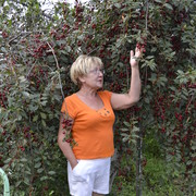  ,   , 63 ,   ,   , c 