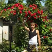 ���������� ������, ���� ������� ������, 40 ���, ������������ ��� ������, ����� � ���������, c�������� ���������