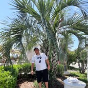 ���������� �����������, ���� ������� ������, 43 ����, ������������ ��� ������, ����� � ���������