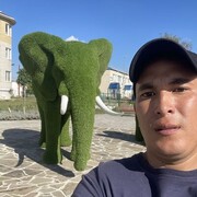  ,   , 38 ,     , c 