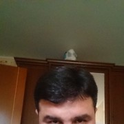  ,   Isa, 44 ,   