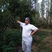 ���������� ������, ���� ������� �������, 54 ����, ������������ ��� ������, ����� � ���������