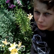  ,   , 35 ,   ,   