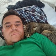  ,  Lion, 29