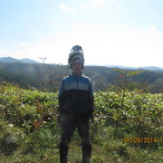  ,   , 41 ,   