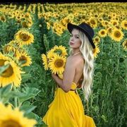 ,   , 24 ,   ,   , 