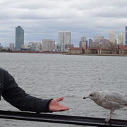  ,   Stefan, 62 ,   ,   , c 