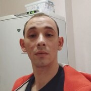 ���������� ������ �����, ���� ������� ����������, 29 ���, ������������ ��� ����� � ���������, c�������� ���������, ���������