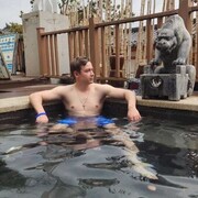 ���������� �����������, ���� ������� �����, 33 ����, ������������ ��� ����� � ���������, c�������� ���������, ���������