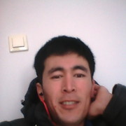  ,   ALI, 33 ,   ,   , c 