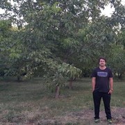 ���������� ������, ���� ������� Barman, 36 ���, ������������ ��� ������, ����� � ���������, c�������� ���������