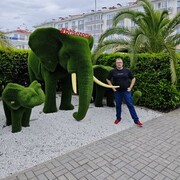 ���������� ������, ���� ������� ������, 41 ���, ������������ ��� ������, ����� � ���������, c�������� ���������