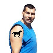  ,   Nicu, 49 ,   ,   , c 