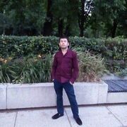 ���������� ���������, ���� ������� ���������, 37 ���, ������������ ��� c�������� ���������