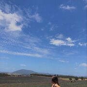 ���������� ������, ���� ������� ������, 25 ���, ������������ ��� ������, ����� � ���������