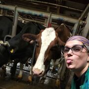 ���������� �����, ���� ������� ���������, 24 ����, ������������ ��� ������, ����� � ���������, ���������