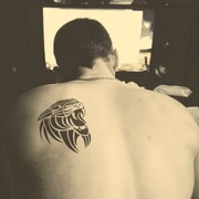 ���������� �����-���������, ���� ������� ������������, 41 ���, ������������ ��� ������, ����� � ���������, c�������� ���������