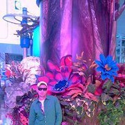 ���������� ����, ���� ������� GoodwIN, 48 ���, ������������ ��� ������