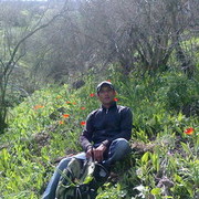 ���������� �������, ���� ������� Saif, 49 ���, ������������ ��� ������, ����� � ���������, c�������� ���������