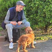  Jelcz,  Giorgi, 42