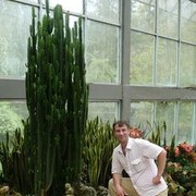 ���������� �����, ���� ������� �����, 47 ���, ������������ ��� ������, ����� � ���������, c�������� ���������