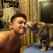  ,   , 33 ,   ,   , c , 