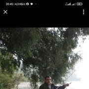 ���������� ����, ���� ������� ��������, 66 ���, ������������ ��� ������, ����� � ���������, c�������� ���������