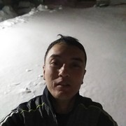   ,   , 37 ,   