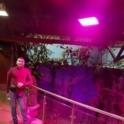  -,   , 31 ,   ,   