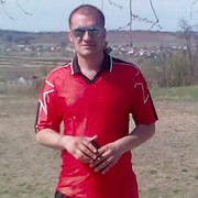  ,   Vladimir, 40 ,   ,   , c 