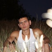  ,   BRUN, 37 ,   , 