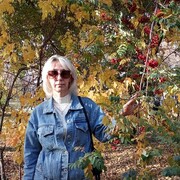 ���������� �����������, ���� ������� �����, 49 ���, ������������ ��� ���������